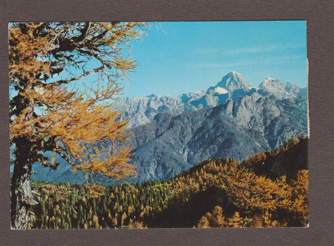 AK Tarvisio. Alpi Giulie - Gruppo del Monte Mangart.