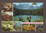 AK Saluti da Fusine.
