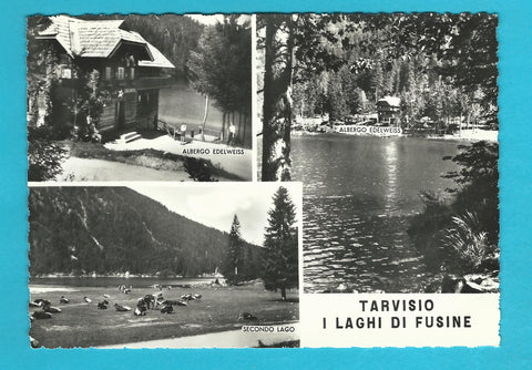 AK Tarvisio I Laghi di Fusine. Albergo Edelweiss.