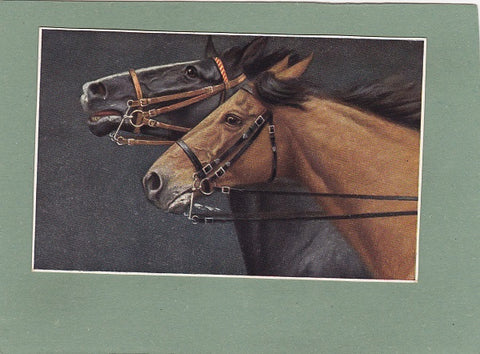 Künstlerkarte, Zwei Pferdekopfporträts.