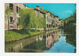 AK Treviso. Buranelli.