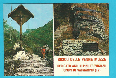 AK Bosco delle Penne Mozze. Dedicato agli Alpini Trevigiani. Cison di Valmarino.