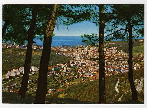 AK Trieste. Panorama.