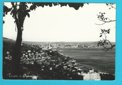AK Trieste - Panorama.
