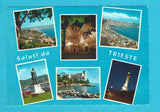 AK Saluti da Trieste.