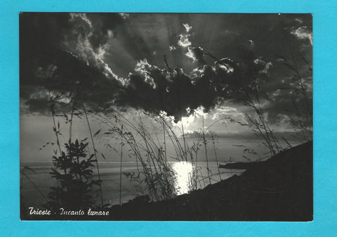 AK Trieste - Incanto lunare.
