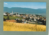 AK Cesuna.