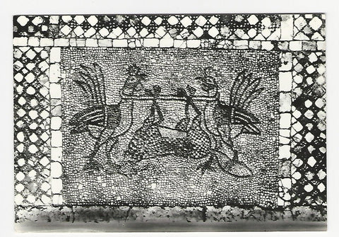 AK Murano - S. Donato. Pavimento bizantino (con galli) - sec. XII.