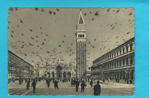 AK Venezia. Piazza S. Marco - I Piccioni.