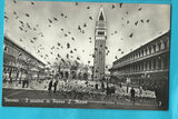 AK Venezia - I Piccioni in Piazza S. Marco.