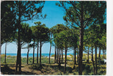 AK Eraclea Mare. (ex Marina di S. Croce)