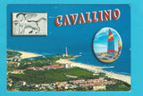 AK Cavallino.