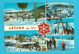AK Cesuna.
