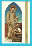 AK Lonigo. Fratini Di S. Antonio.