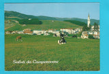 AK Saluti da Camporovere.
