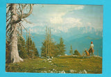 AK Villacher Alpe - Roßtratte mit Blick zu den julischen Alpen.