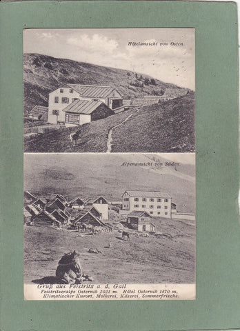 AK Gruß aus Feistritz a. d. Gail. Hotelansicht von Osten. Alpenansicht von Süden.