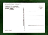 AK Velden am Wörthersee. Schwarzvilla – Filllasfer. Süduferstraße 49.