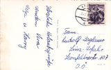 AK Afritzer - See.