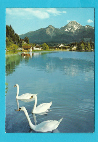 AK Am Faakersee.
