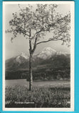 AK Motiv am Faakersee. (1952)