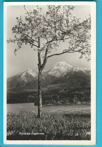 AK Motiv am Faakersee. (1952)