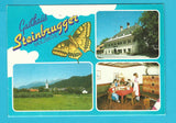 AK Rothenthurn. Gasthaus Steinbrugger. Molzbichl.