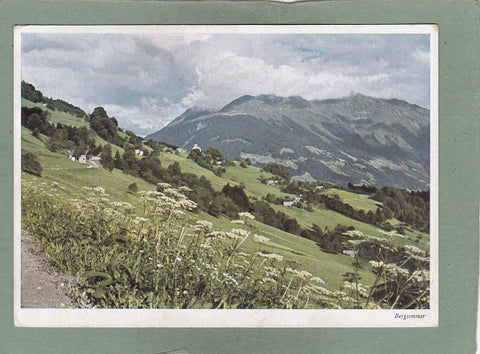 AK Bergsommer. Bartholomäberg Montafon.