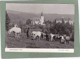 AK Lipizzanergestüt Piber.