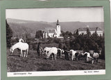 AK Lipizzanergestüt Piber.