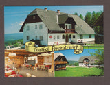 AK Hirschegg 188. Pongratzwirt. Fam. J. u. M. Riedl.