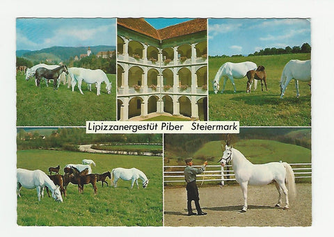 AK Lippizanergestüt Piber.