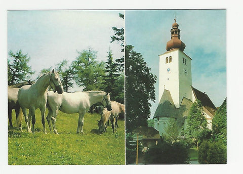 AK Piber. Libizzaner. Pfarrkirche.