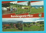 AK Bundesgestüt Piber. (1987)