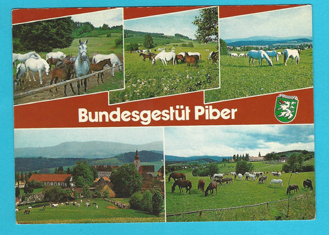 AK Bundesgestüt Piber. (1987)