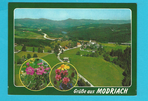 AK Grüße aus Modriach.