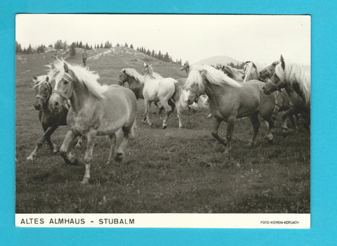 AK Altes Almhaus - Stubalm.