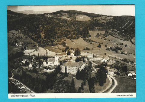 AK Lipizzanergestüt Piber.