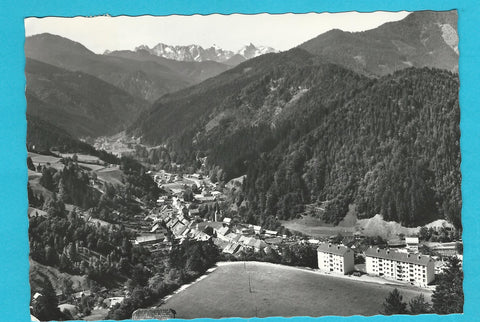 AK Eisenkappel mit Steineralpen.