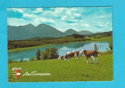 AK Am Turnersee.