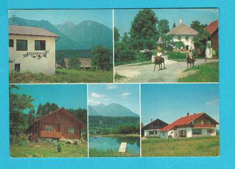 AK St. Veit/Jauntal. Pension Rosenheim mit Hochobir Gaststätte und Pension Schafferhof Ferienhaus Schaffer Badesee Schaffer
