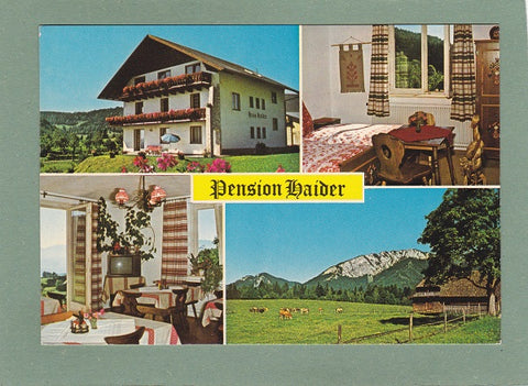 AK Fladnitz a.d. Teichalm. Urlaub am Bauernhof. Pension Haider. Nechnitz 11.