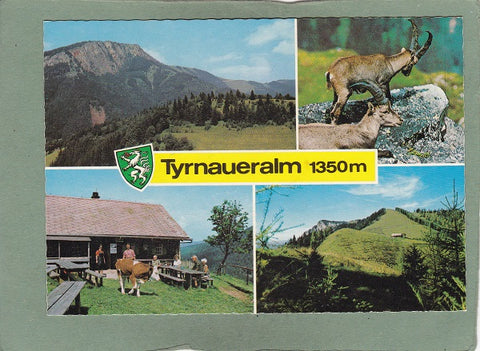 AK Tyrnaueralm. Gasthaus. Fladnitz a.d. Teichalm.