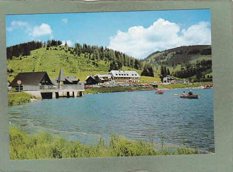 AK Almgasthof Vorauer Zum Teichwirt, Teichalm.