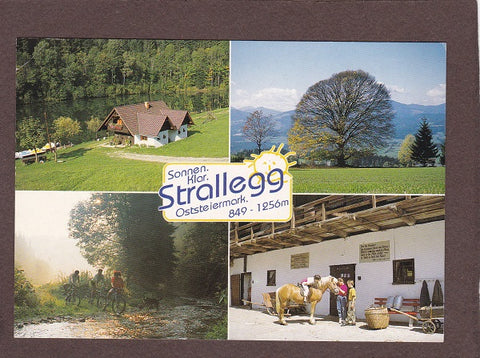 AK Strallegg.