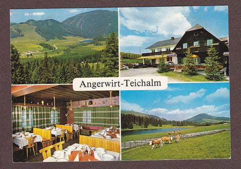 AK Angerwirt-Teichalm. Fam. Windisch.