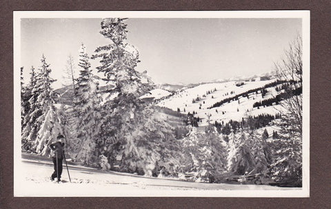 Foto-AK Auf der Sommeralm. Blick nach Norden.