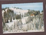 AK Fladnitz a.d. Teichalpe. Alpengasthof Pierer.