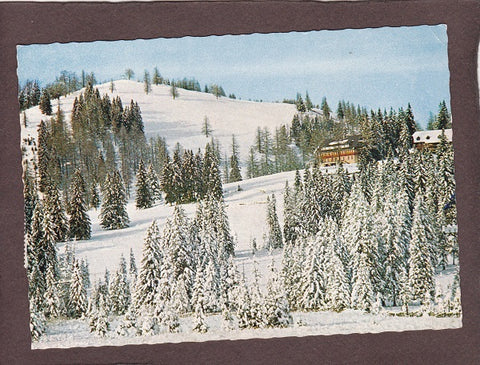 AK Fladnitz a.d. Teichalpe. Alpengasthof Pierer.