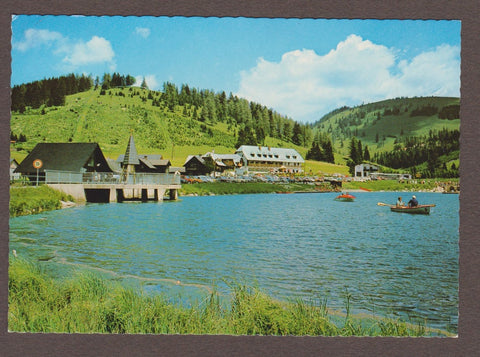 AK Teichalm. Almgasthof Vorauer Zum Teichwirt.